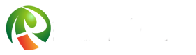 東營(yíng)遠(yuǎn)見(jiàn)網(wǎng)絡(luò)logo